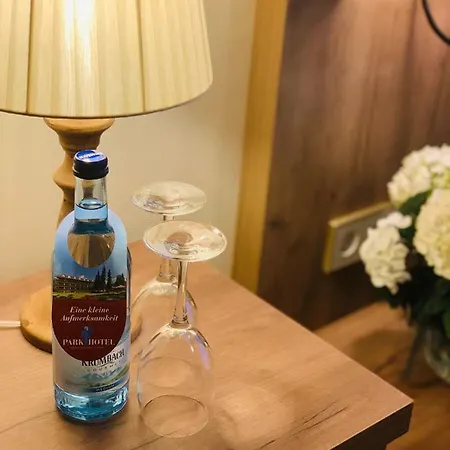 公园酒店 4* 巴德瓦德西
